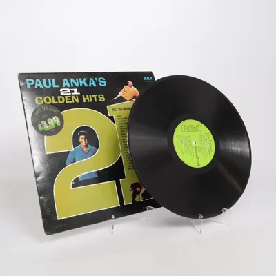 Vinyl record
