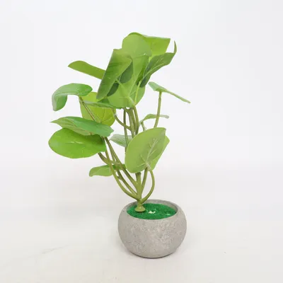 Konstgjord växt (Grön, Grå)