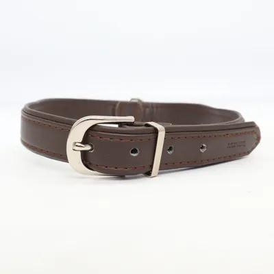 Dog collar (Brown) from Hunter