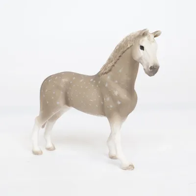 Leksaksdjur (Beige) från Schleich
