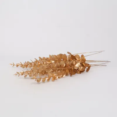 Home decoration (Gold)