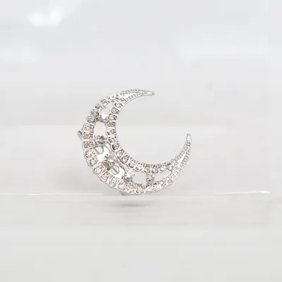 Broche (Zilver) Onbekend materiaal