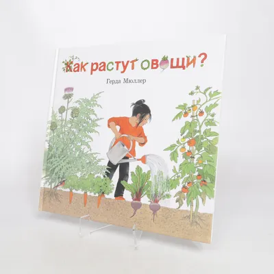 Kinderbuch