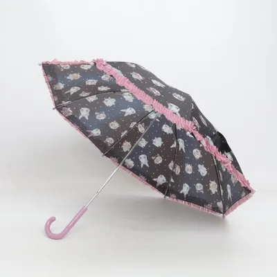 Paraplu (Zwart, Roze, Meerkleurig)