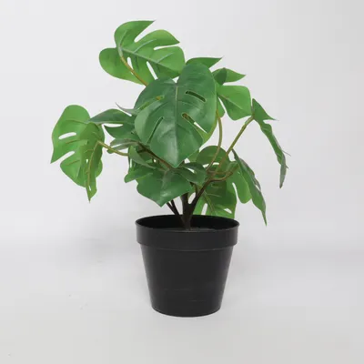 Kunstig plante fra IKEA