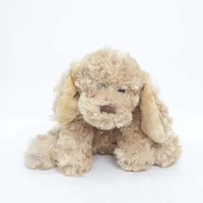 Peluche (Beige) de Bukowski