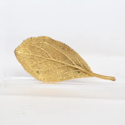Broche (Guld) Ukendt metal