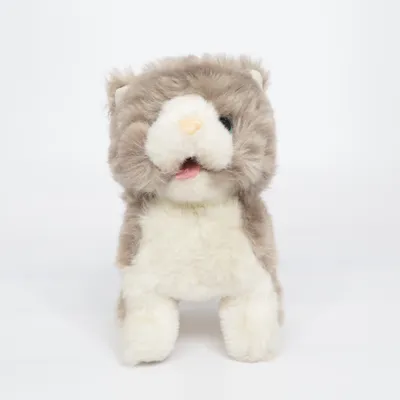 Peluche (Gris, Blanc) de Top-Toy