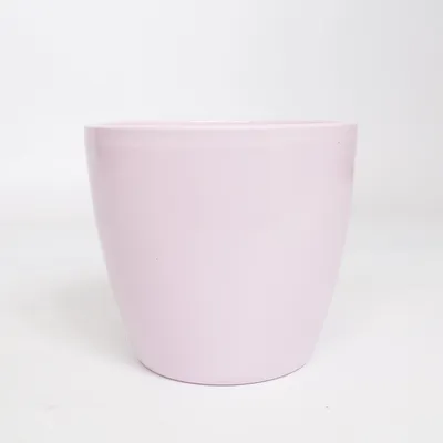 Pot (Purple) from Sector