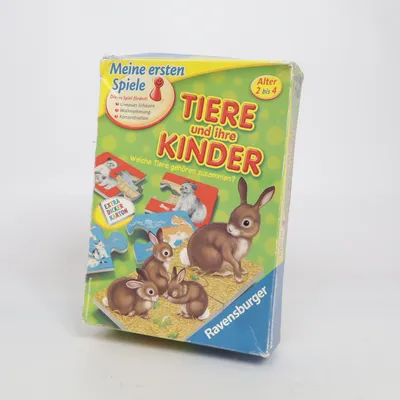 Puzzel van Ravensburger