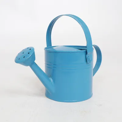 Arrosoir (Bleu)