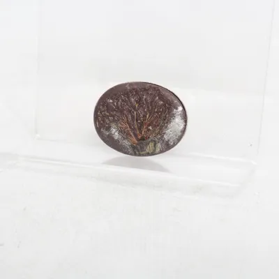 Brooch (Brown) Unknown metal