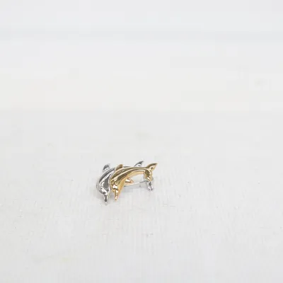 Broche (Zilver, Goud) Onbekend materiaal