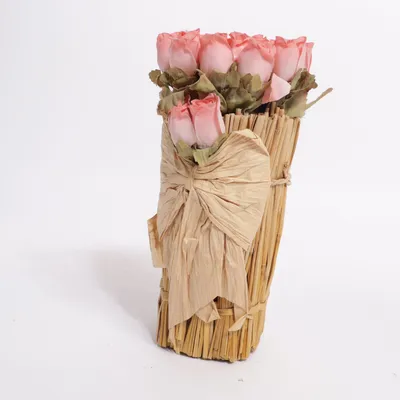 Plante artificielle (Rose, Beige)