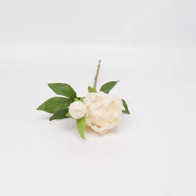 Konstgjord växt (Beige, Grön)