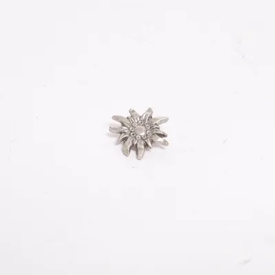 Broche (Sølv) Ukendt metal