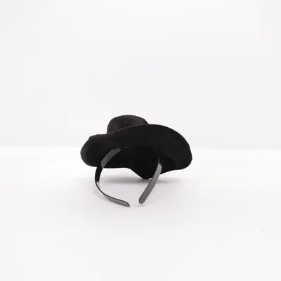 Maskeradtillbehör (Svart)