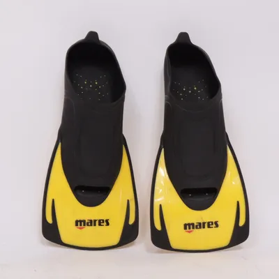 Palmes (Jaune, Noir) de Mares