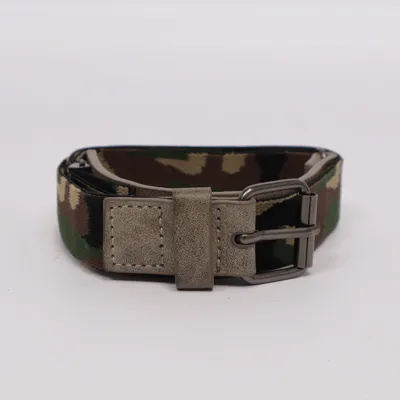 Belt (Gray, Multicolored)