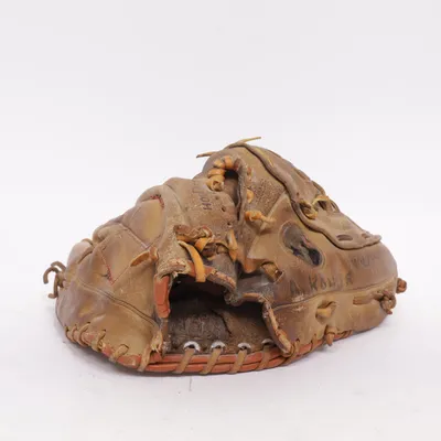 Baseball glove (Brown) from Rawlings