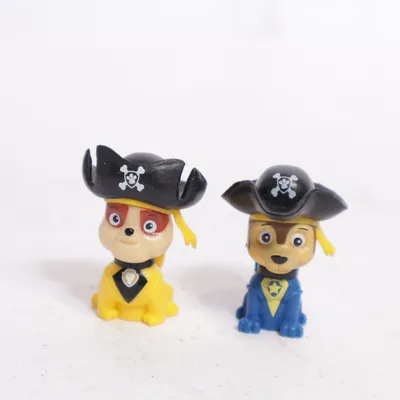 Speelgoedfiguur (Paw Patrol Pirate Pups) van Spin Master