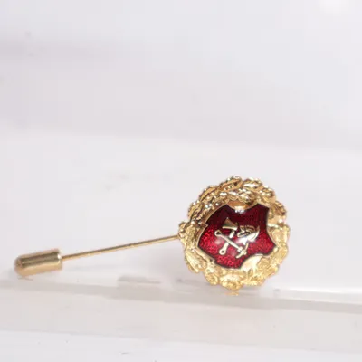 Tie pin (Gold, Red) Unknown metal