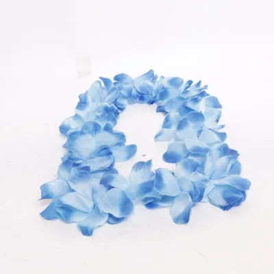 Accessoires de déguisement (Bleu)