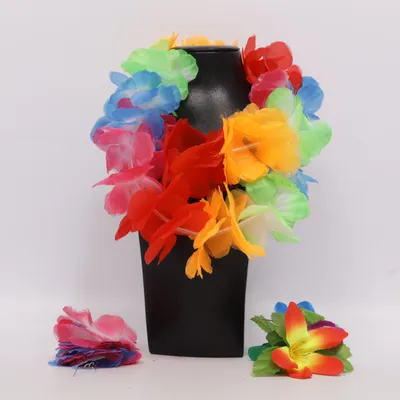 Costume accessories (Multicolored)