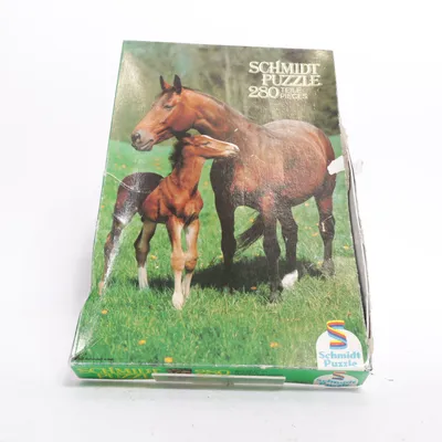 Puzzel van Schmidt Puzzle