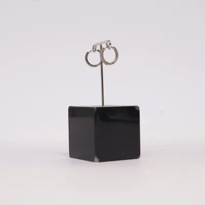 Earrings (Silver) Silver