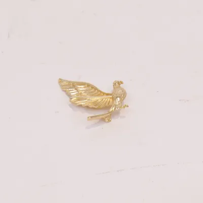 Brooch (Gold) Unknown metal