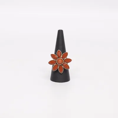 Ring (Brun) Okänd metall
