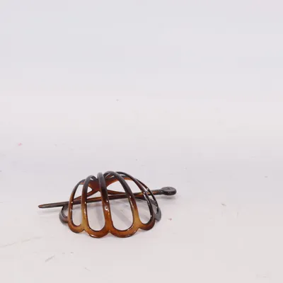 Hair clamp (Brown) from Evita Peroni