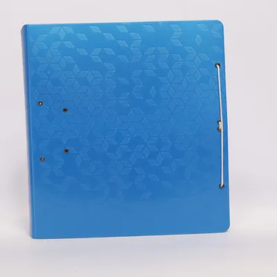 Classeur  (Ringordner Blau) de Leitz