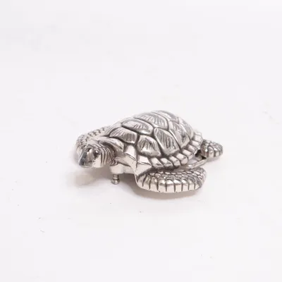 Brooch (Turtle) from R.H Unknown metal