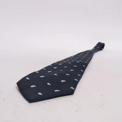 Cravate (Bleu) de Paolo Negrato Soie
