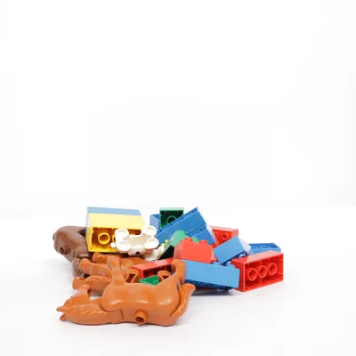 Byggsats (DUPLO) från LEGO Duplo
