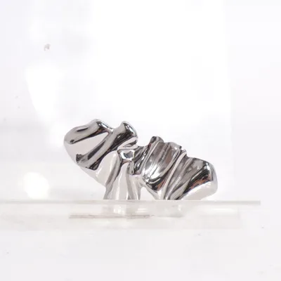 Broche (Sølv) Ukendt metal