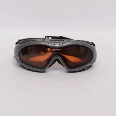 Lunettes de ski (Gris) de Alpina