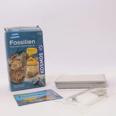 Pyssel (Flerfärgad) från Kosmos