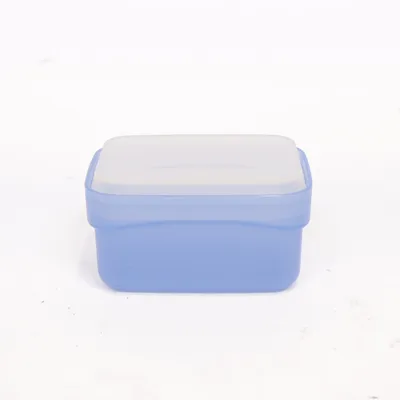 Lunch box (Blue) from Tupperware