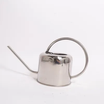 Jug (Silver)