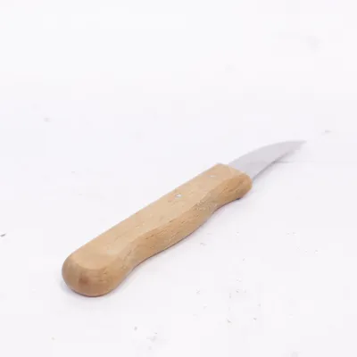 Kökskniv (Gemüsemesser) från Rostfrei