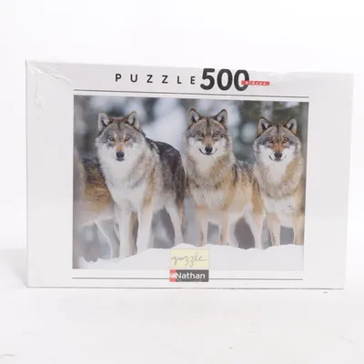 Puzzle from Nathan