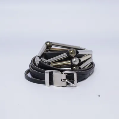Belt (Brown, Silver, Gold)