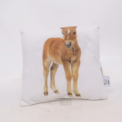Cushion (White, Brown) from Woolworth