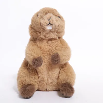 Krammedyr (Marmot) fra WWF