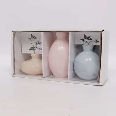 Vaas (Beige, Roze, Blauw)