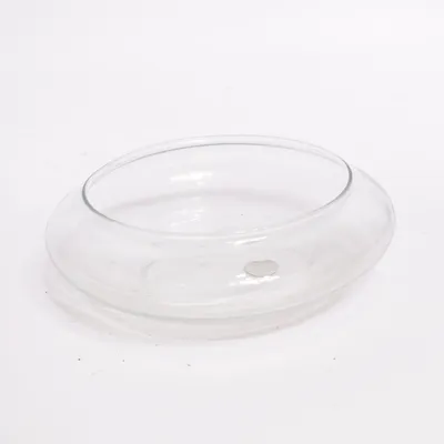 Vase (Transparent)