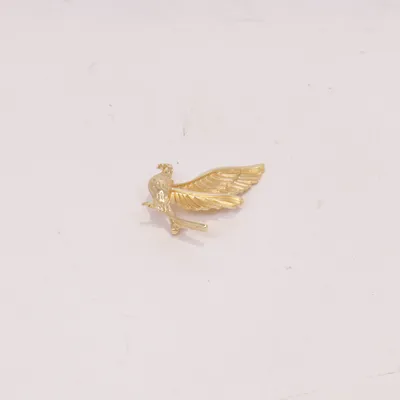 Broche (Or) Métal inconnu